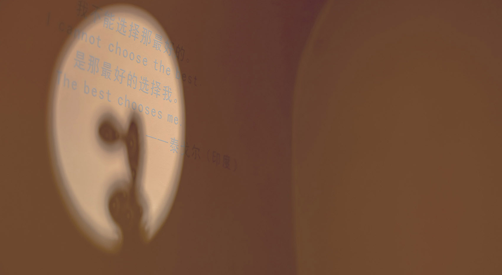 CACTUS 时尚概念店,西安 / 边界空间设计-70