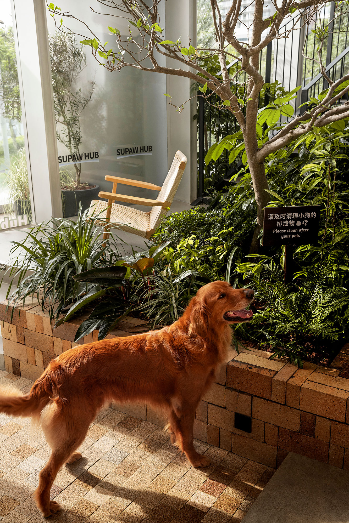 咖啡店丨中国深圳丨Pure & Wild Studio朴野设计-52