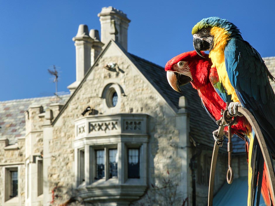 洛杉矶亿元豪宅花花公子大厦,29 个有趣房间等你探索-5