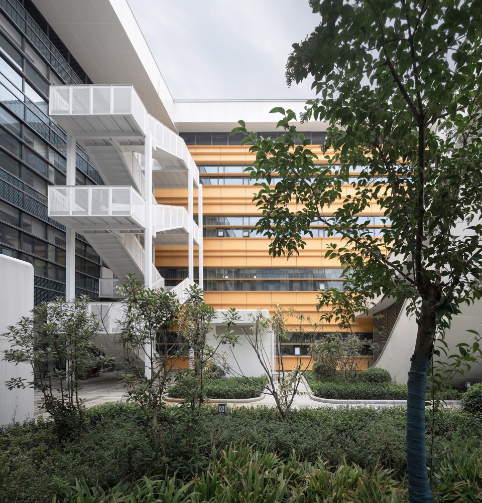 淄博市妇幼保健院-39