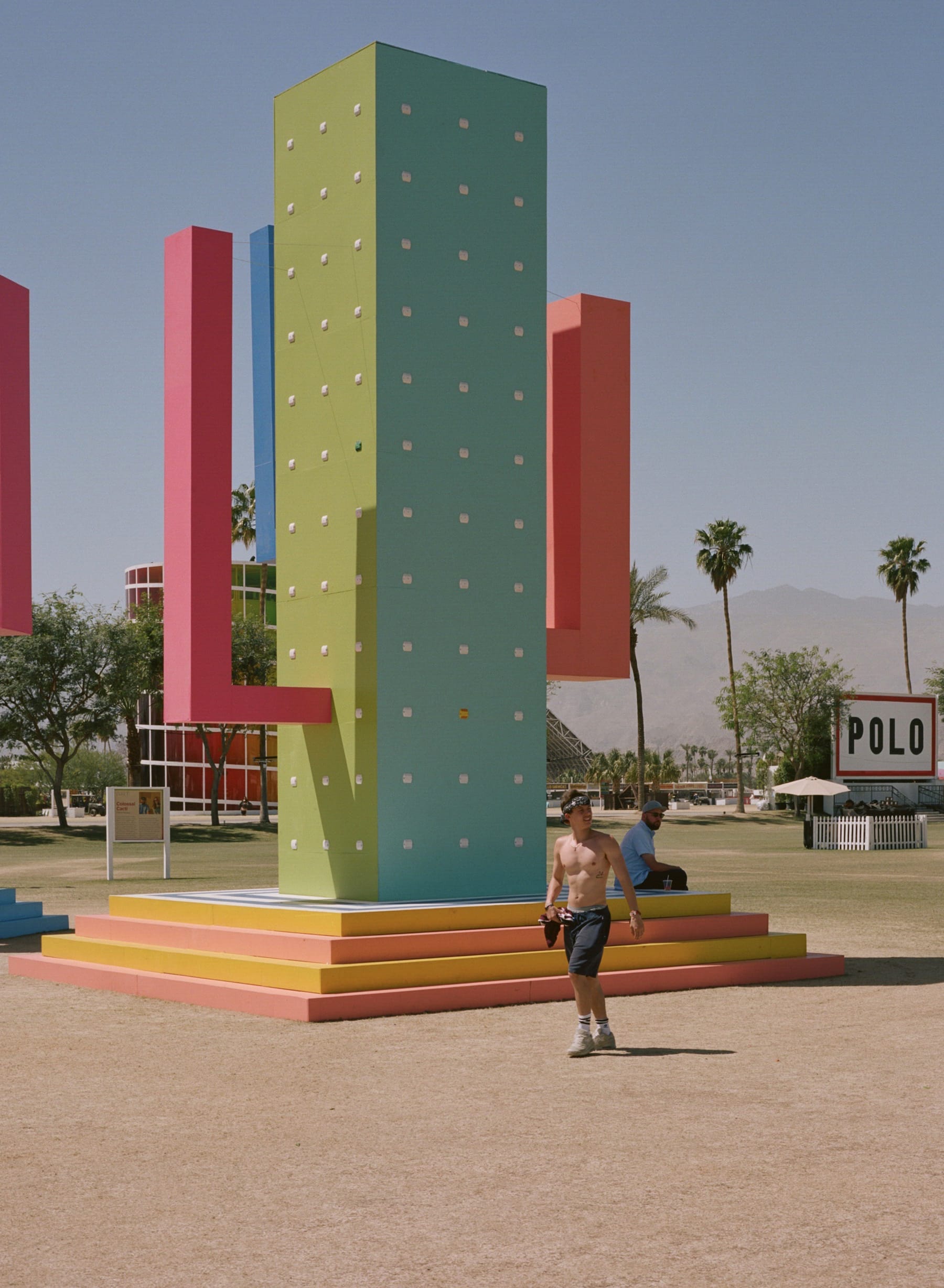 巨大仙人掌,科瓦奇办公室-33