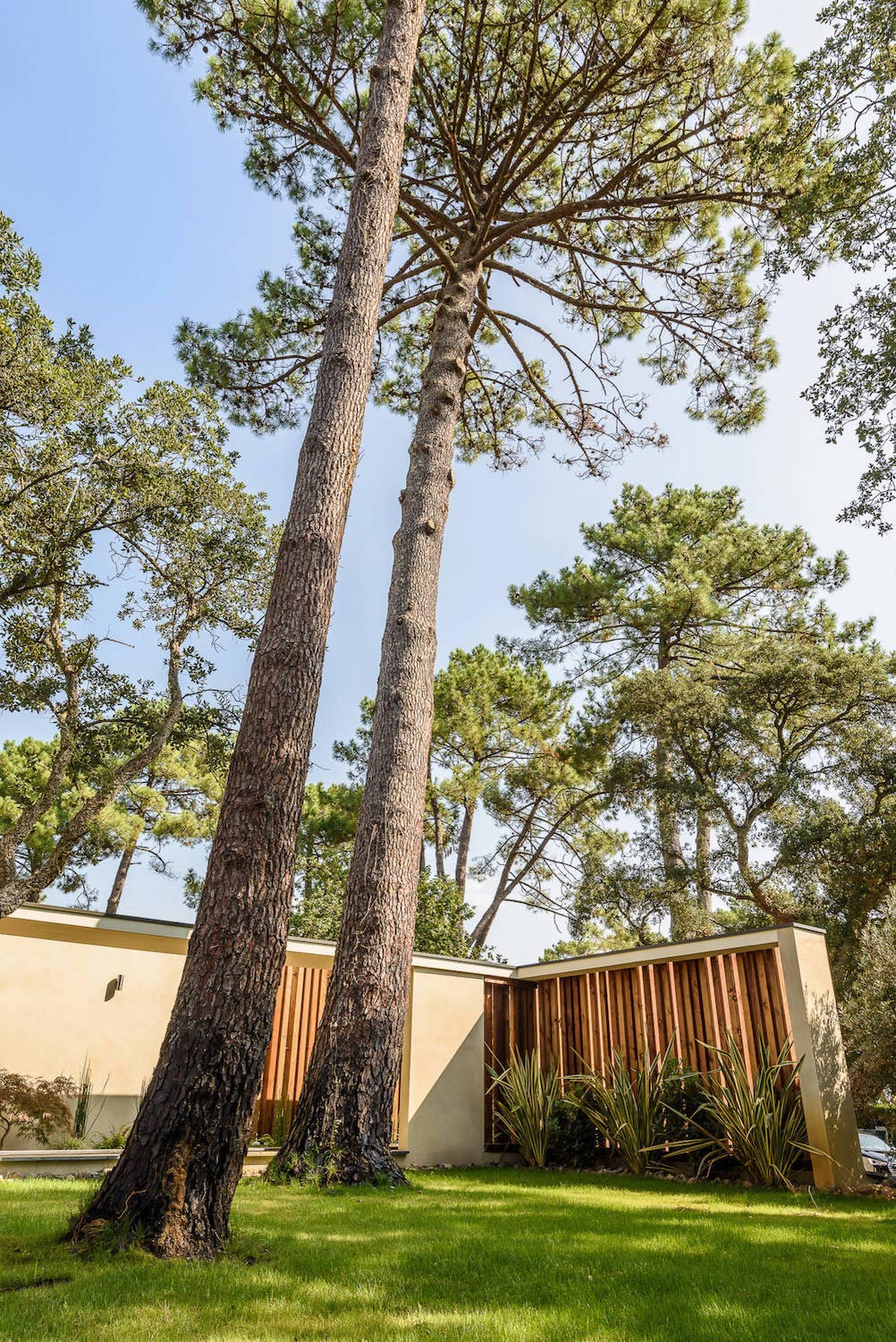 Modern wooden residence surrounded by greenery   CAANdesign  Architecture and home design blog-8