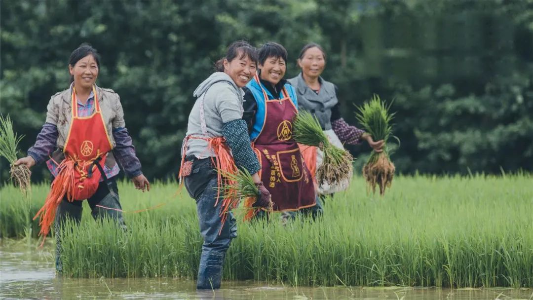 峨眉·高桥小镇丨中国眉山丨四川乐道景观设计有限公司-121