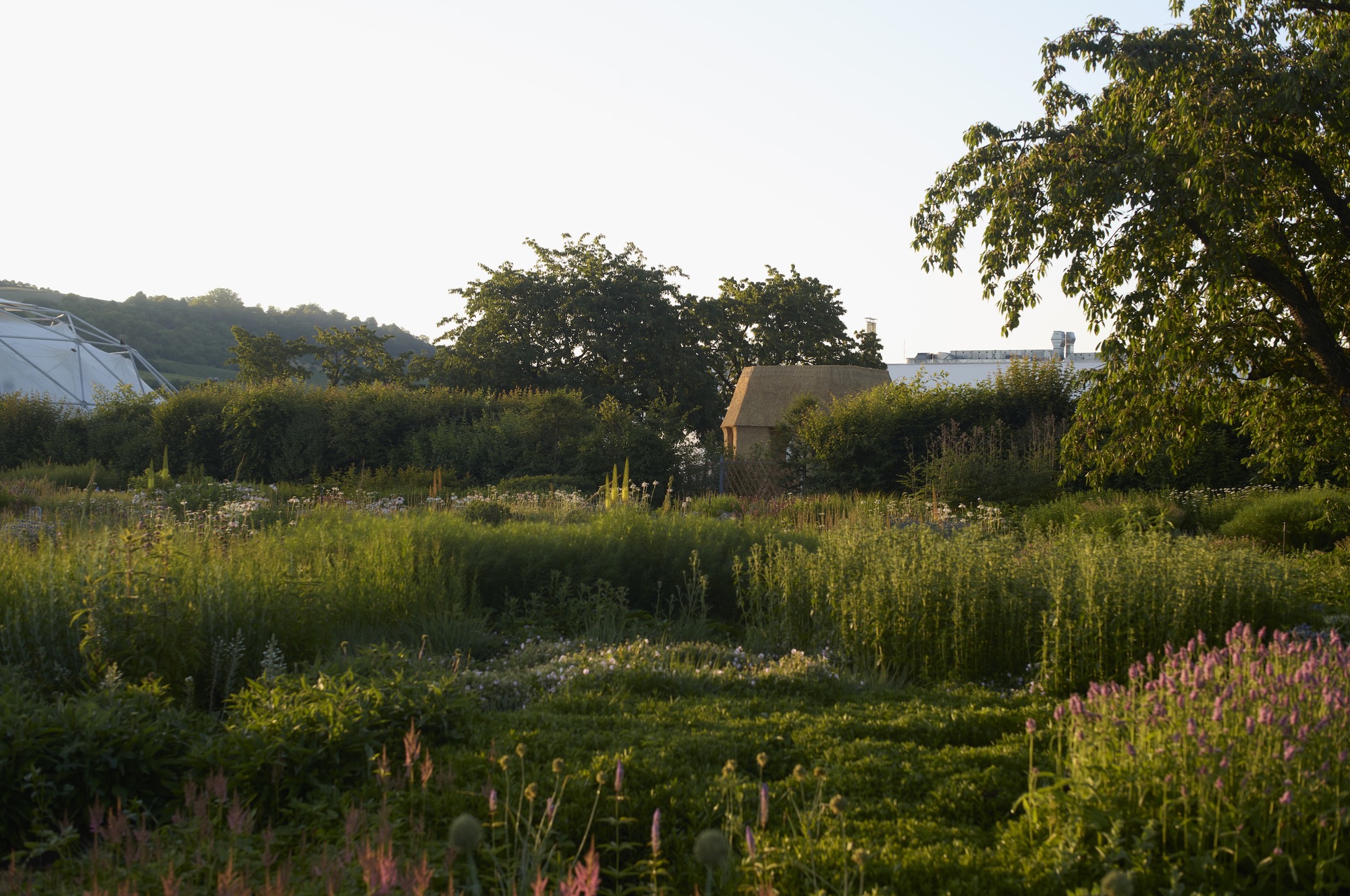 塔内花园屋丨德国丨Atelier Tsuyoshi Tane Architects-36