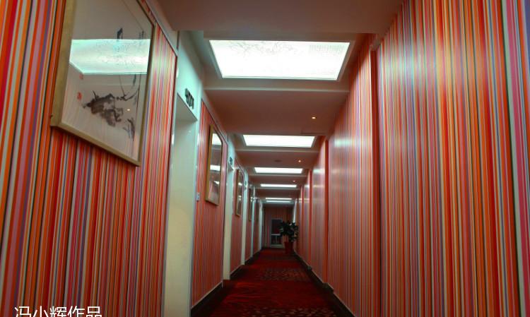 河南灵宝袋鼠艺术酒店走廊设计实录-40