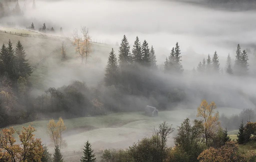 龙湖·双珑原著 3#块 | 自然艺术与现实生活的极致融合-0