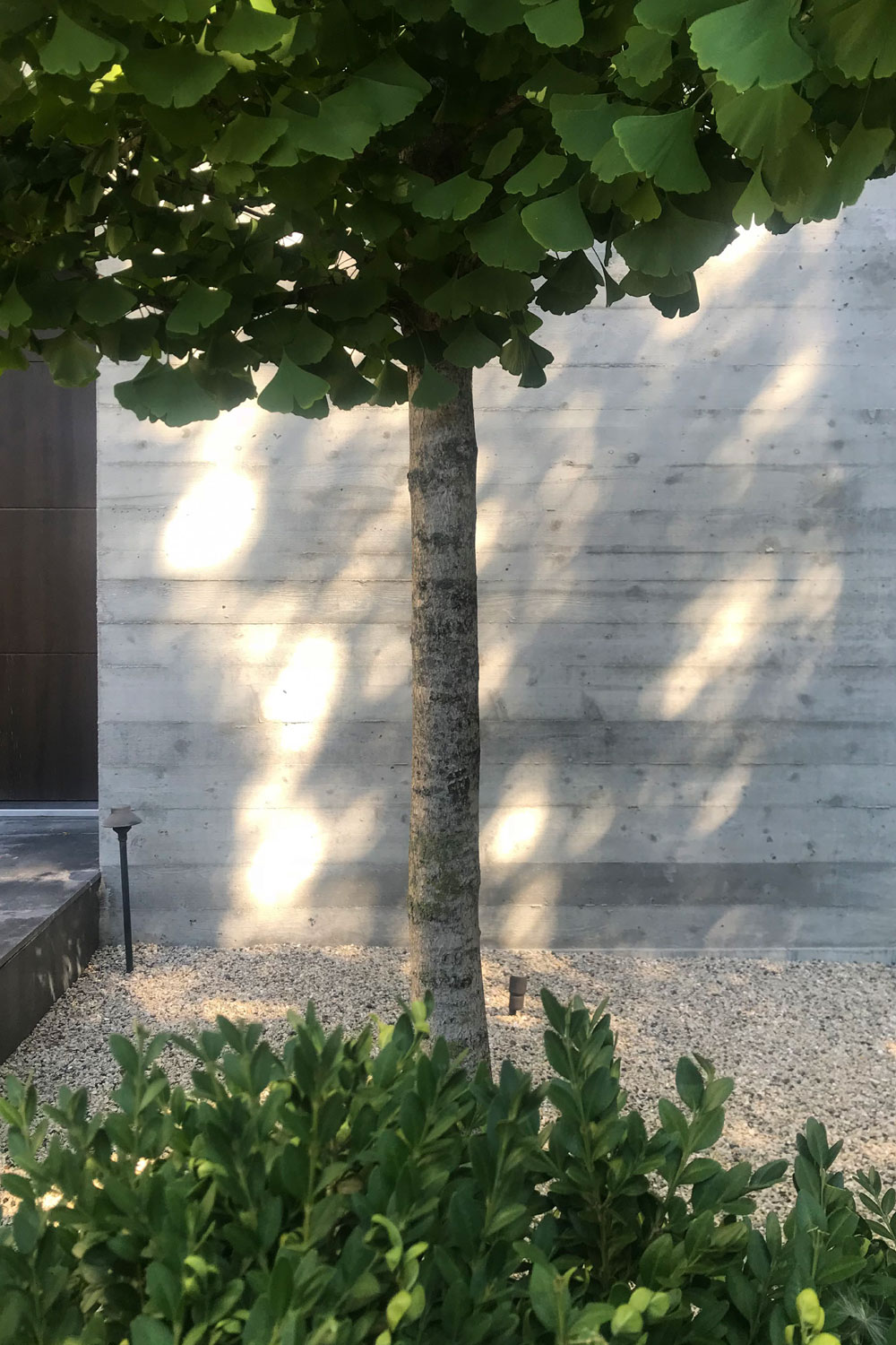 丨美国芝加哥-22