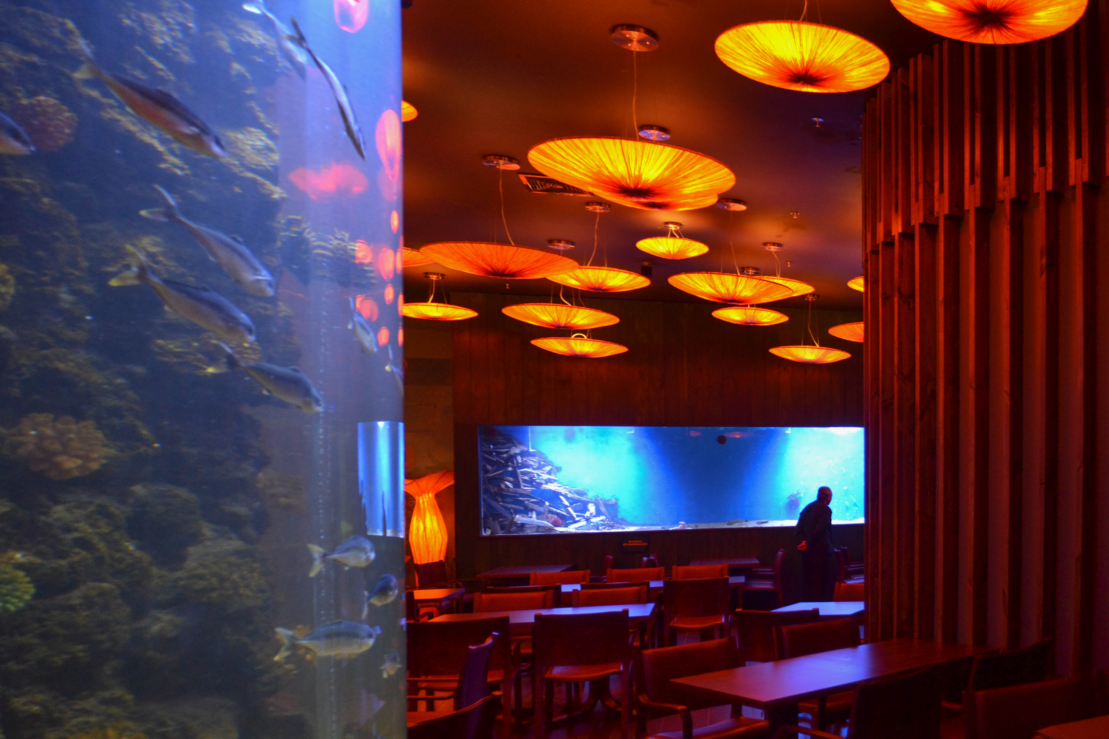 科斯塔米亚餐厅水族馆丨智利圣地亚哥-6