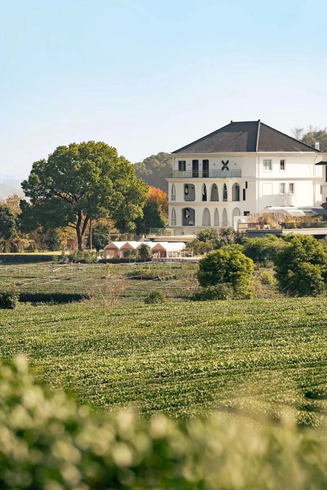 鲸与惊奇丨中国杭州丨无题设计-13