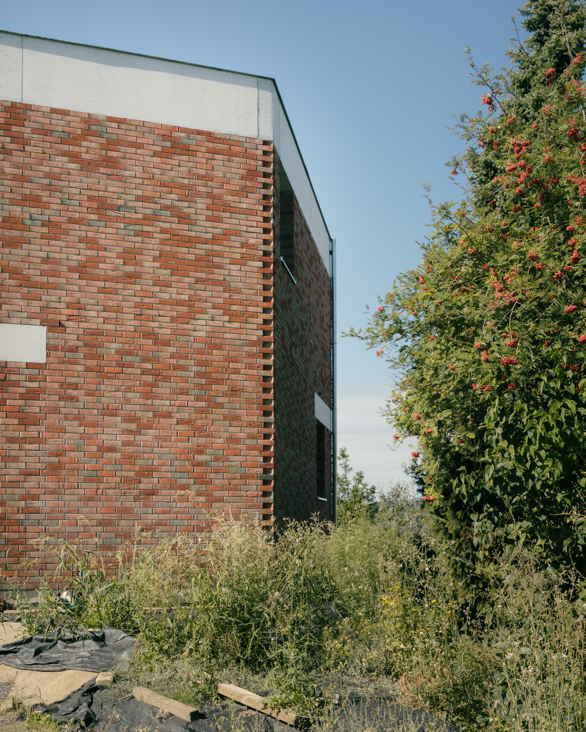 jtB House丨比利时丨BLAF Architecten-43