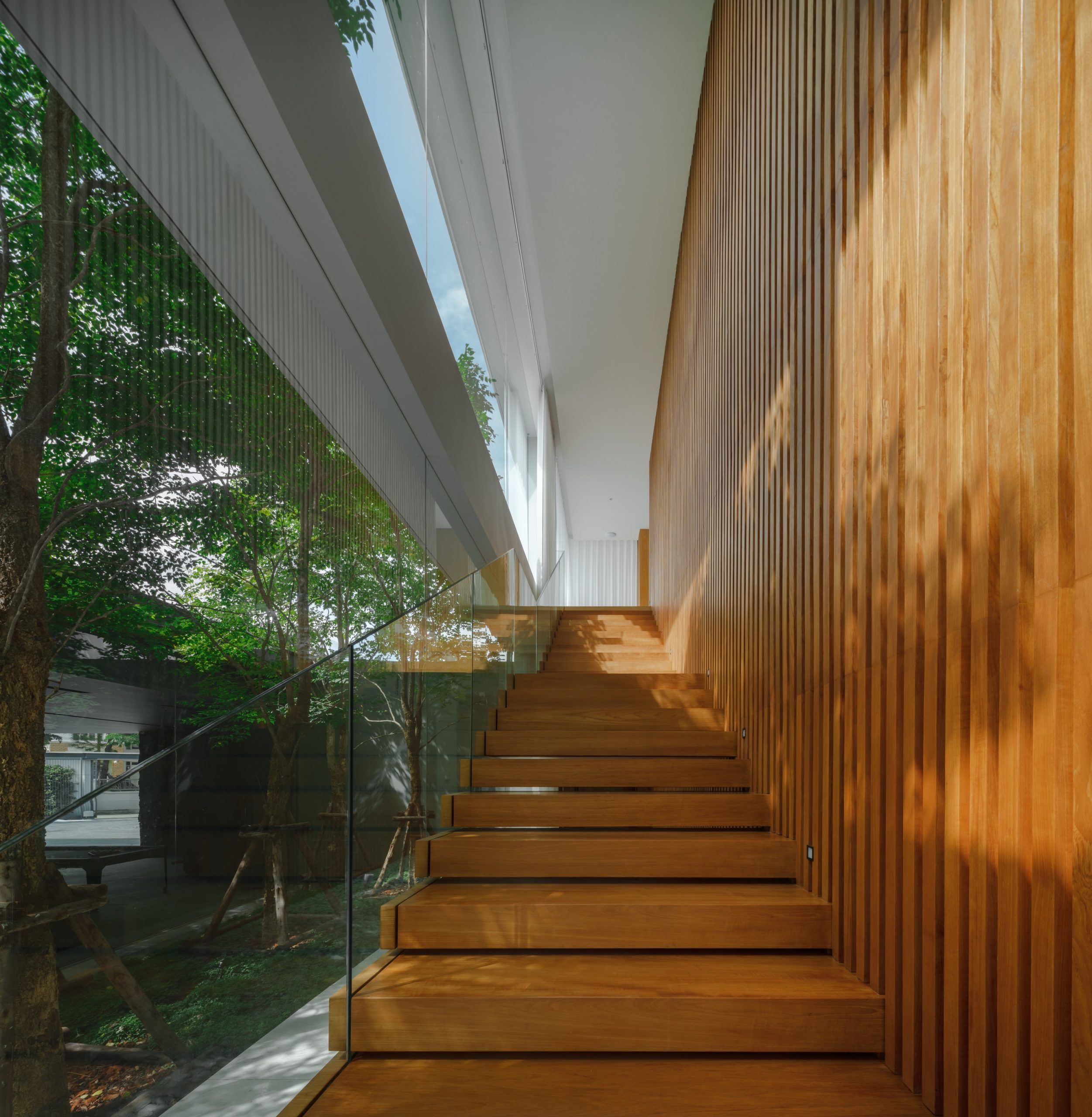 曼谷 PK 住宅庭园丨泰国曼谷丨Landscape Tectonix Limited-53