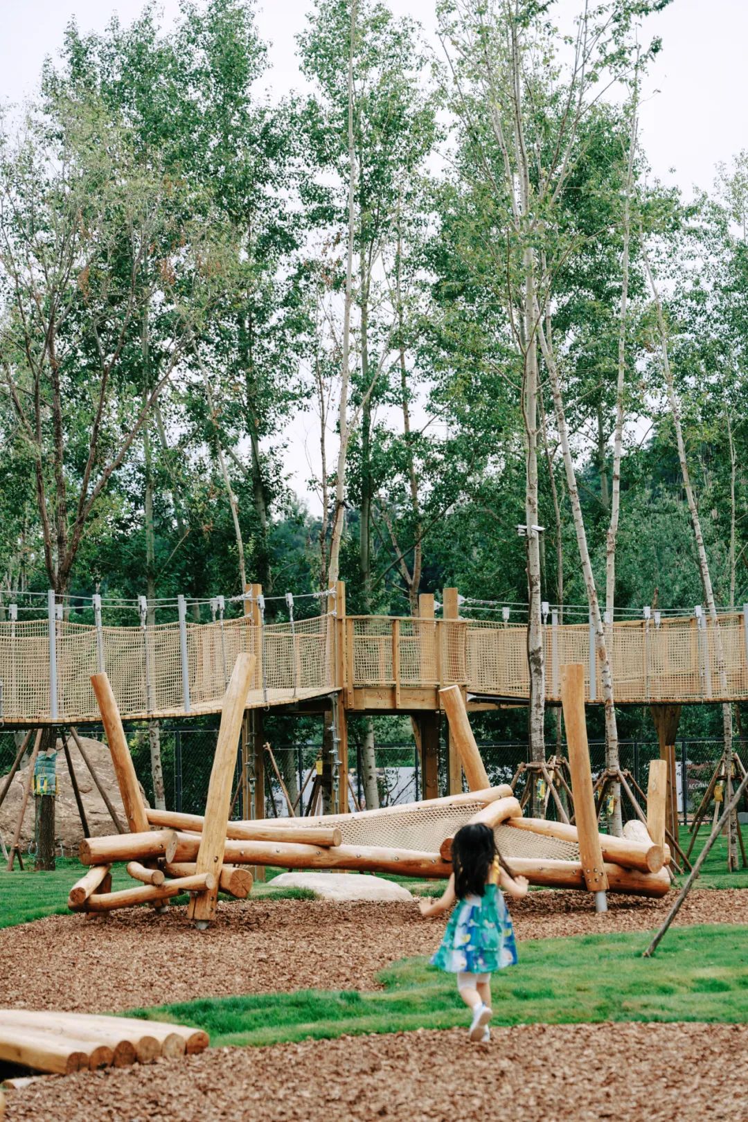 喜随x阿那亚|雾灵山灯塔自然乐园官宣开放！-134