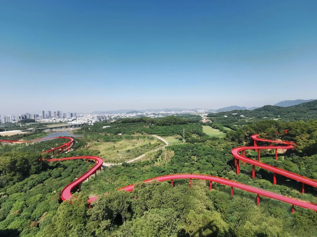 深圳最美“红飘带”绽放 创想湾区生态运动“新生摇篮”-47