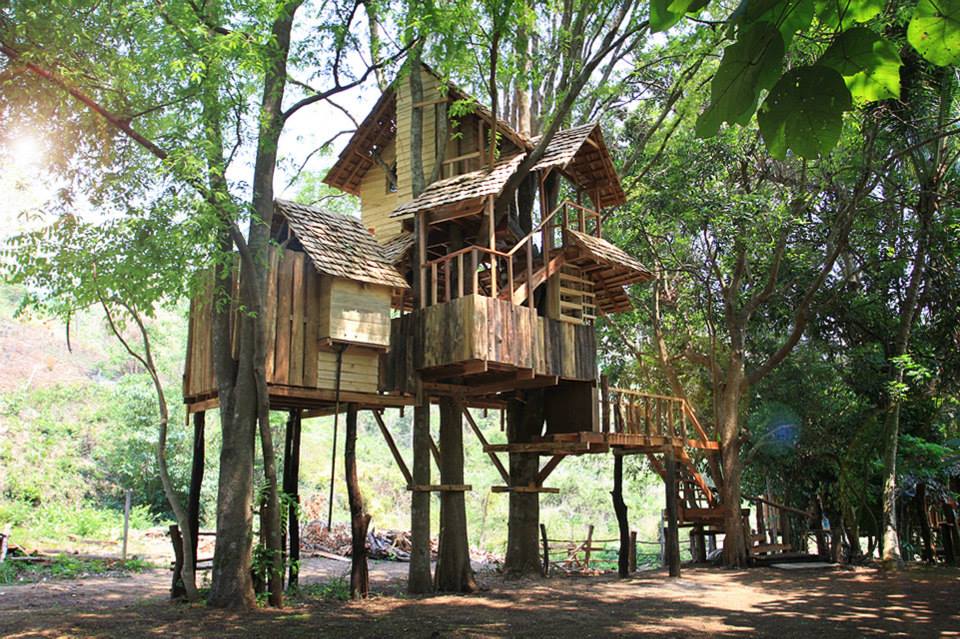 两层树屋（Treehouse）-15