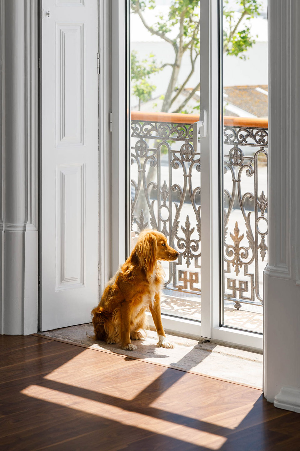 葡萄牙百年的老宅改造的办公楼丨danielmsantos,eng + arq 事务所-113