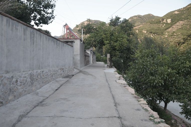 一星期 一万元 零废弃 | 脚手架建起的乡村艺廊-4