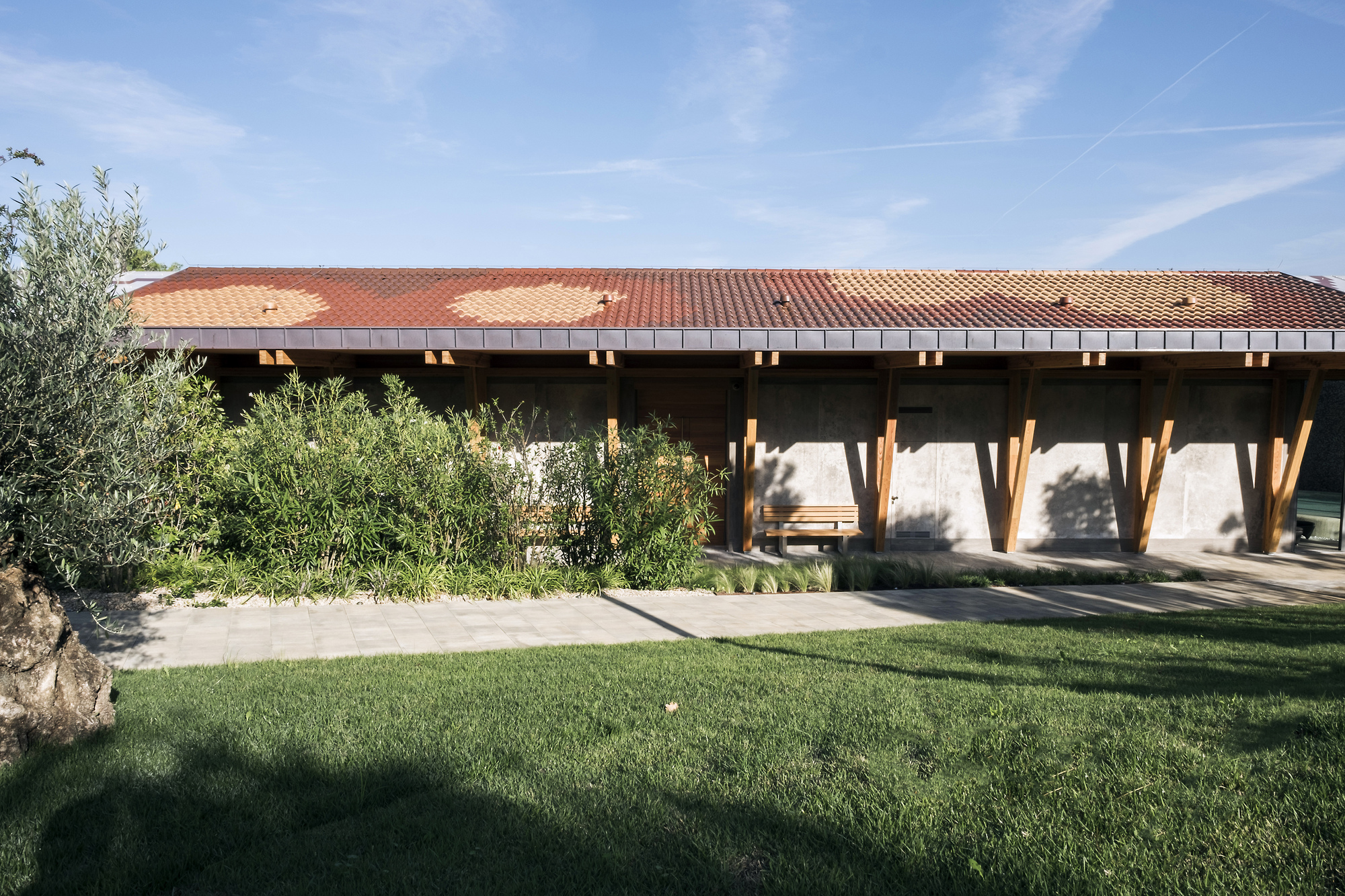 Wooden House / Turato Architects-34