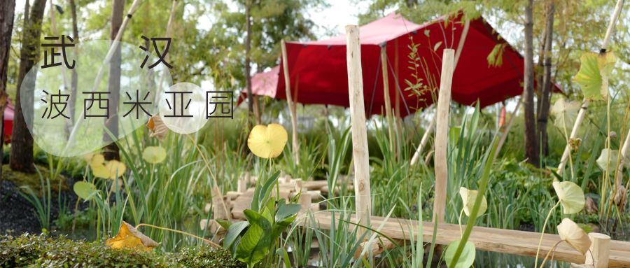 2021 深圳簕杜鹃花展·“共生”园丨中国深圳丨虹越花卉股份有限公司-43