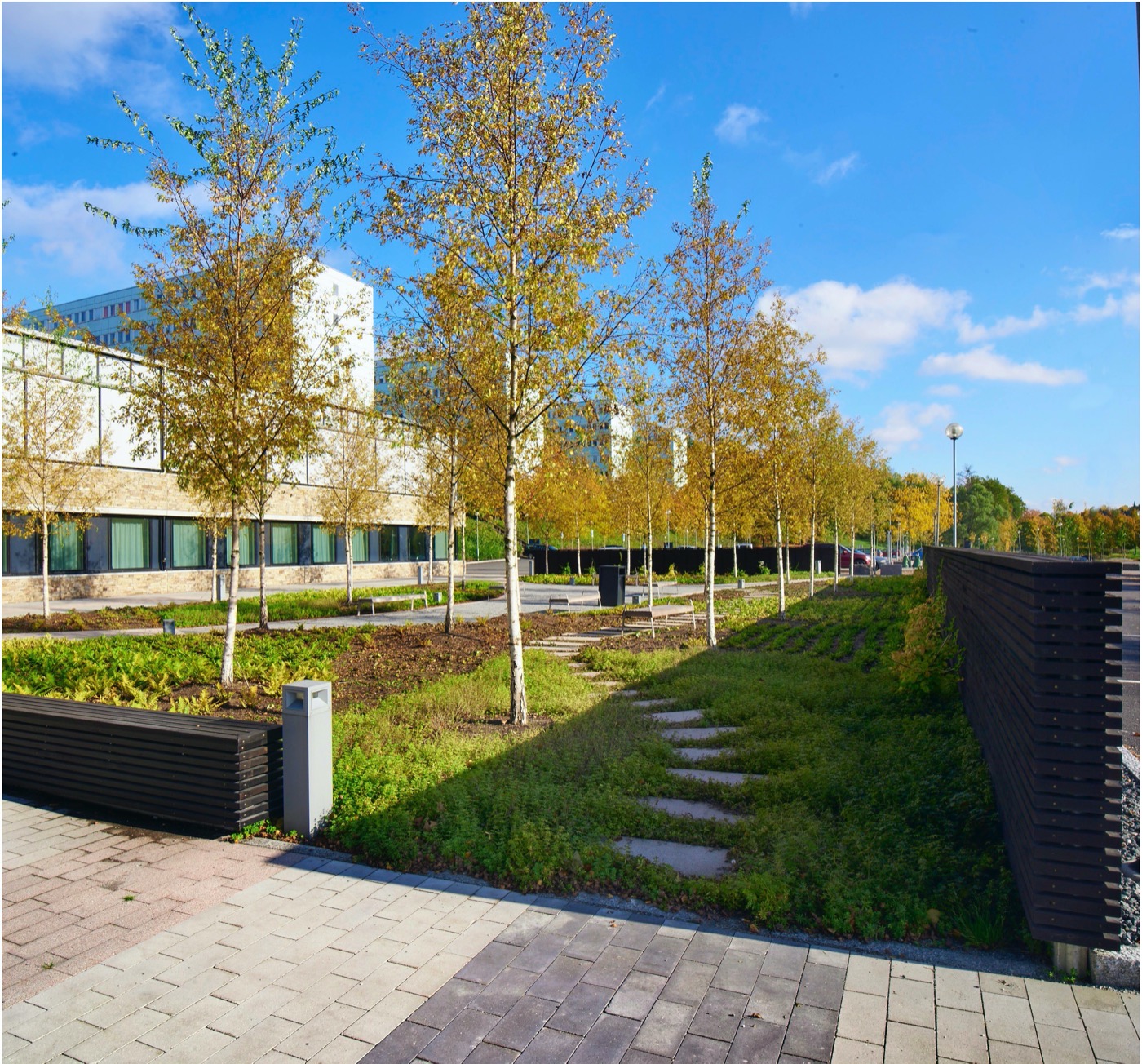 斯德哥尔摩大学校园新地标·生态和谐的学生之家-9