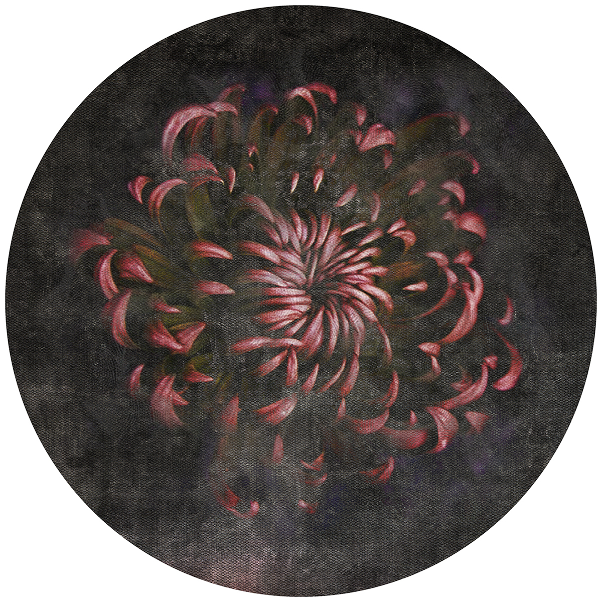 日本花卉地毯-34