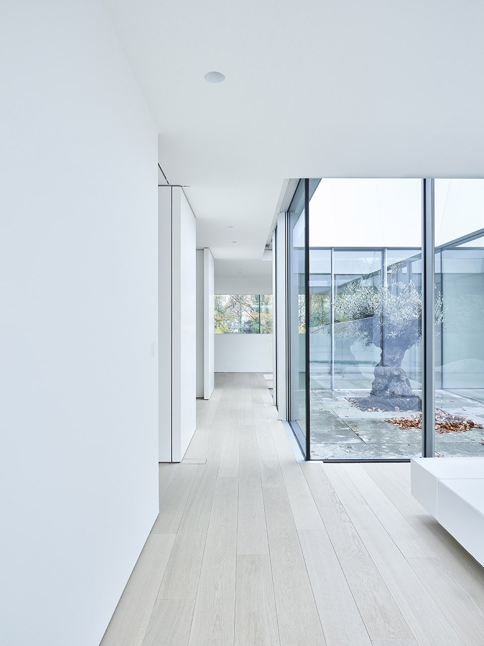 别墅BRAS，比利时 / DDM Architectuur-49