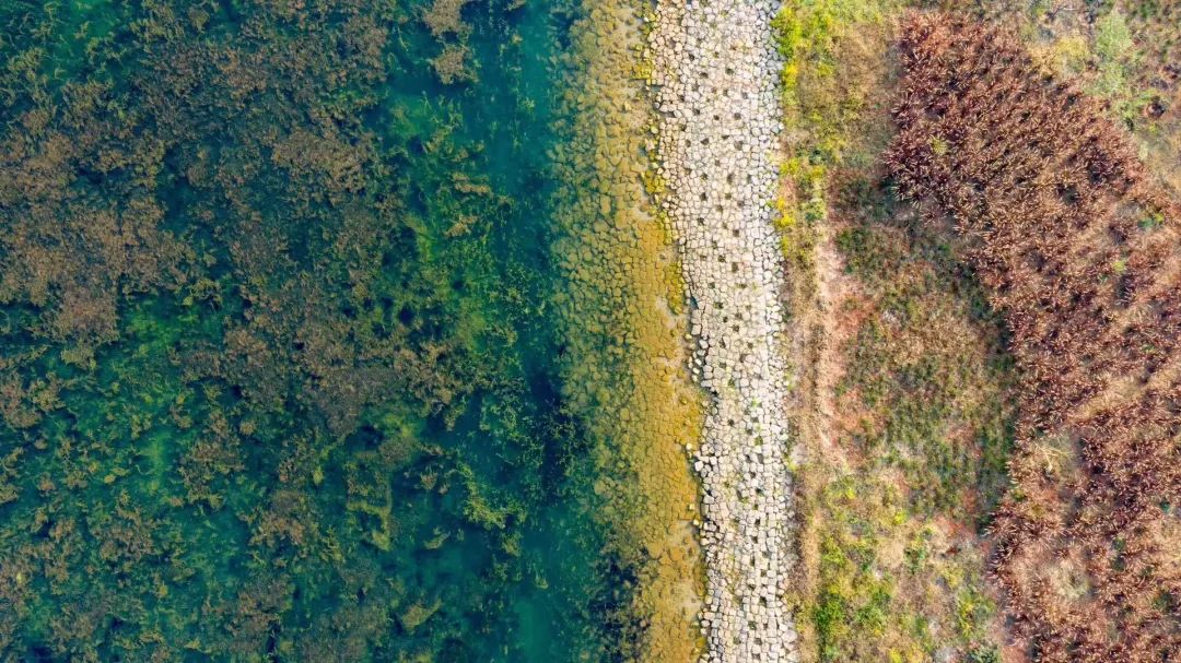 抚仙湖星空小镇 | 生态修复的人与自然和谐共生典范-52