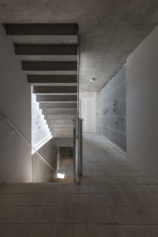 阿根廷某公寓楼项目（未明确具体名称）丨Arqtipo,Natalia Rapisarda-47