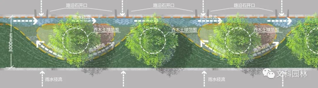 深圳市光明区海绵城市试点区域海绵化改造工程丨中国深圳-30