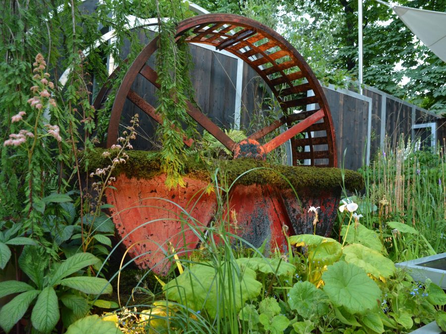 Eau de bonheur - Didier Danet - Entreprise Paysagiste-33