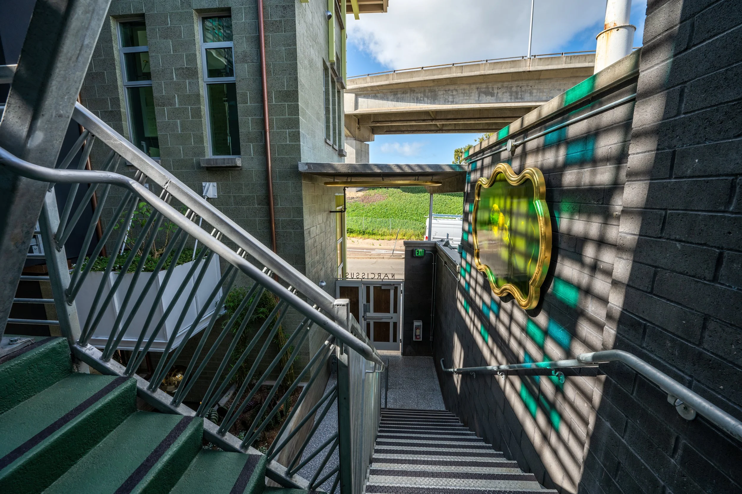 达芙妮·麦卡洛 · 圣地亚哥丨美国-43