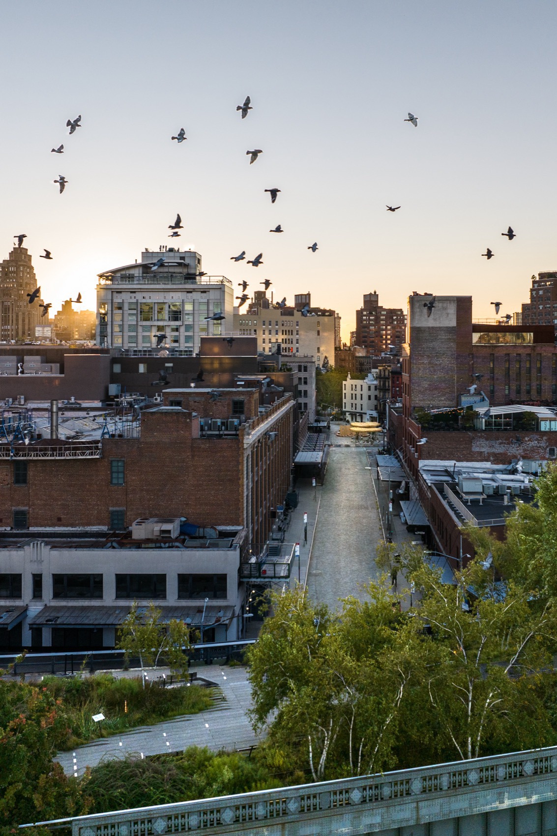 竹云丨加纳沃尔特丨llLab.叙向建筑-125