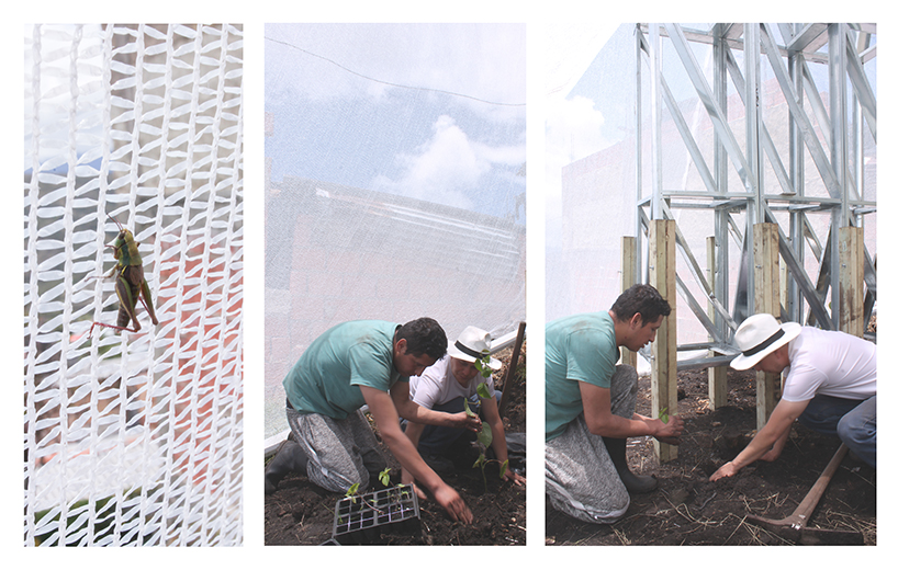 社区建造的雾收集器丨哥伦比亚丨Alsar Atelier-32