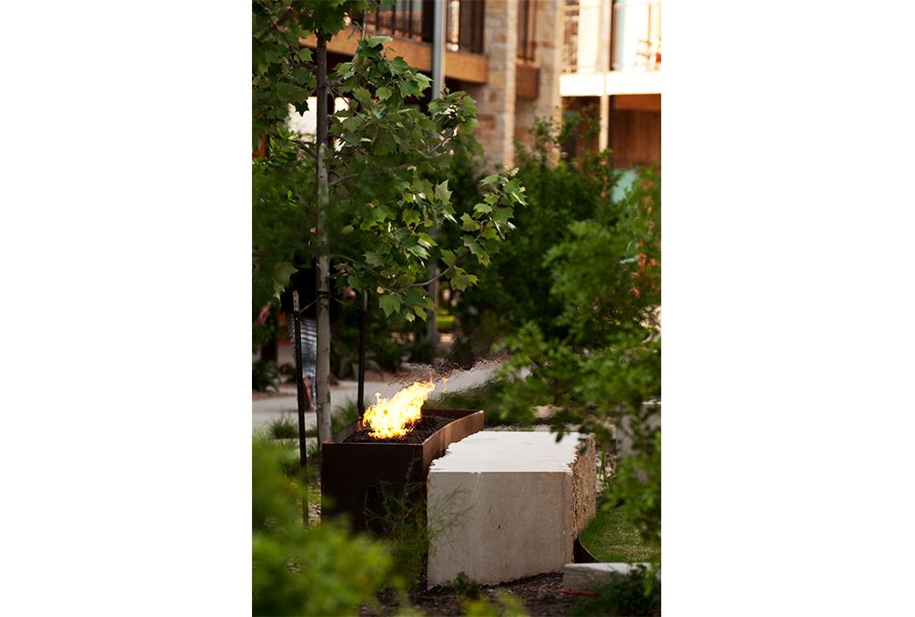 孤星庭院酒店（注：Court在这里结合常见情况推测为酒店名一部分，一般可理解为庭院酒店，但如果有特定背景，可能有更合适译法） 丨美国奥斯汀-4