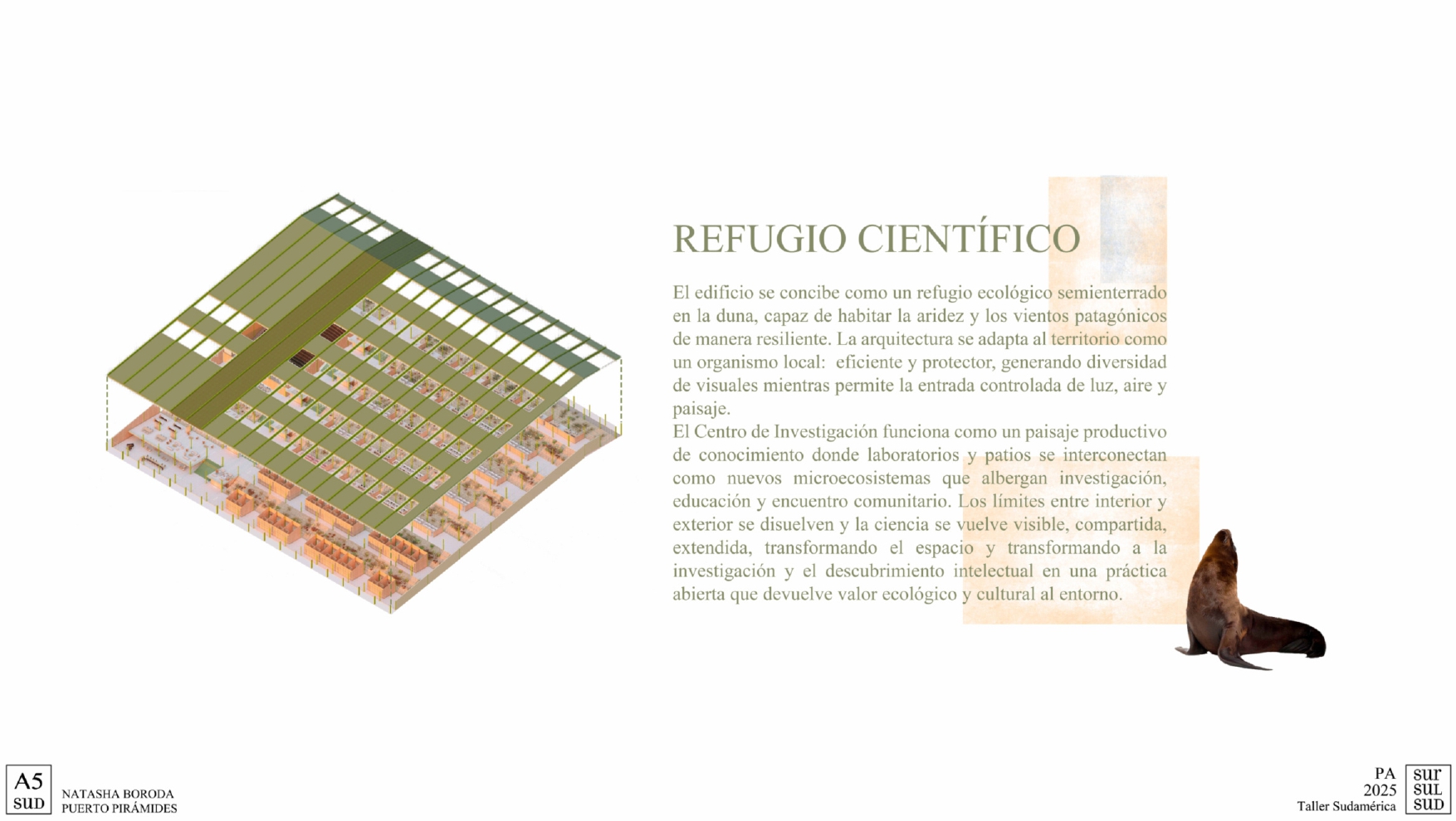 Puerto Pirámide | Centro de Investigacion-4