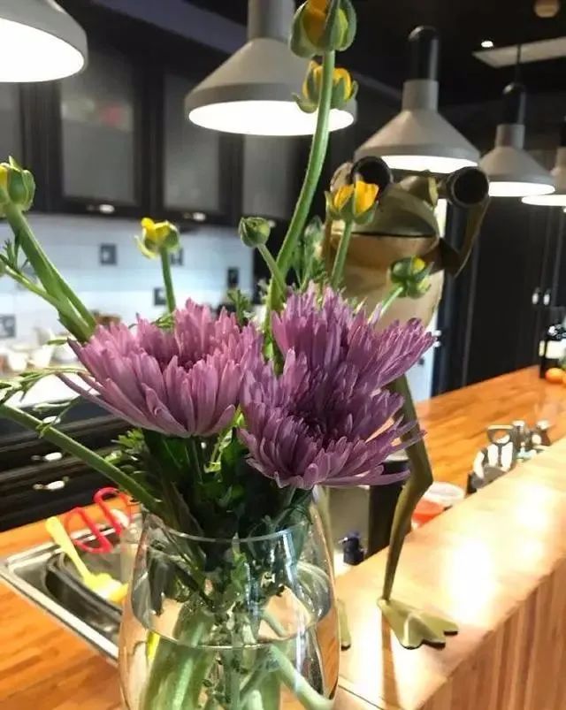 45岁殷桃的北京豪宅火出圈，院子里种满果树、鲜花，简直世外桃源。-13