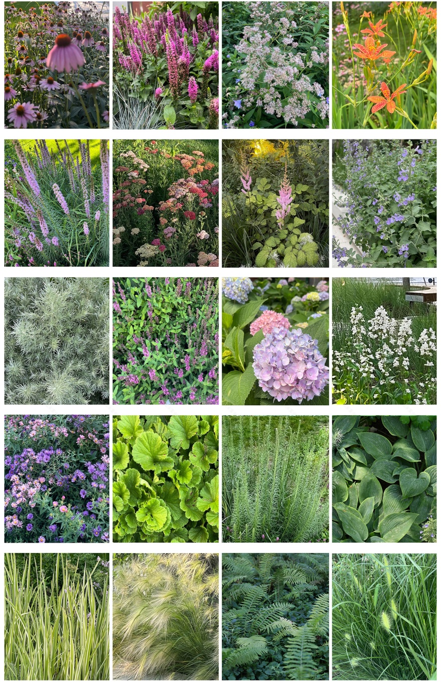 北京市三里屯西五街5号院花园丨中国北京丨OneScape一域景观事务所-206