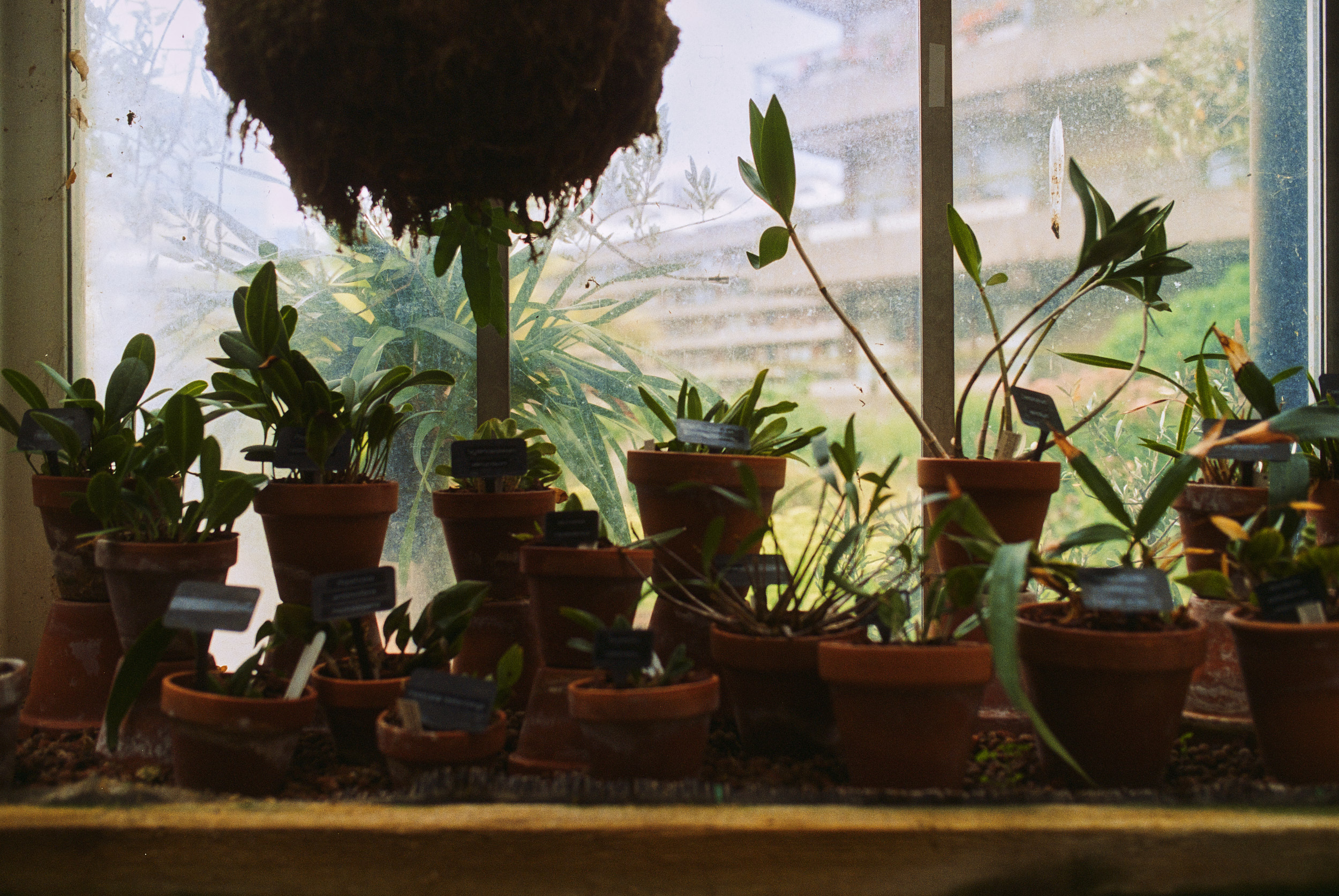 巴比肯温室丨英国伦敦-19