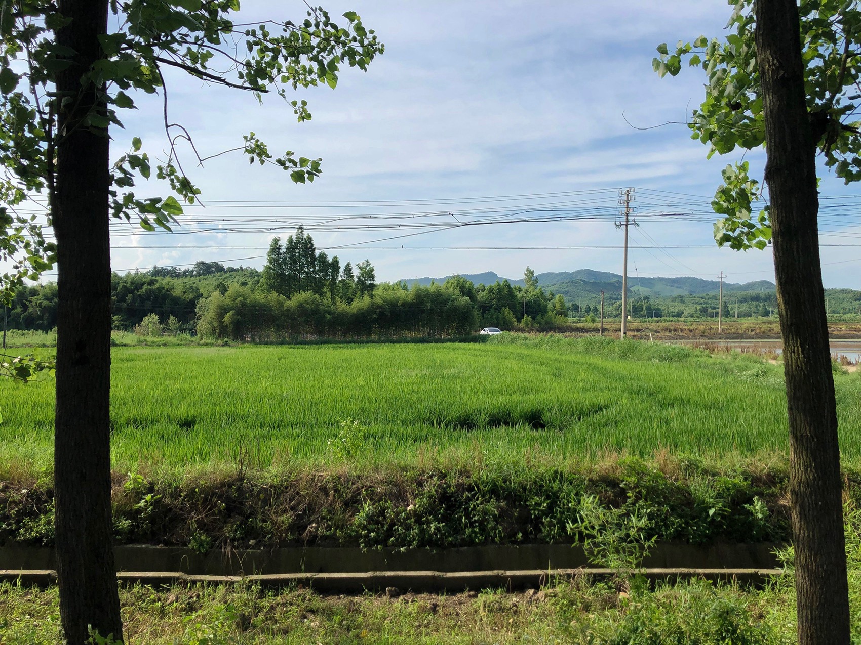 四边庭·文化地理单元实验室丨中国湖州丨ConCom 集良建筑事务所,东南大学建筑设计研究院-8