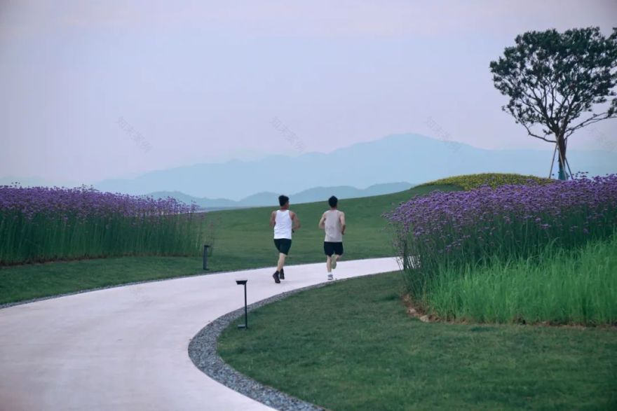 邂逅自然 | 宁波华侨城·欢乐滨海的自然景观设计-143