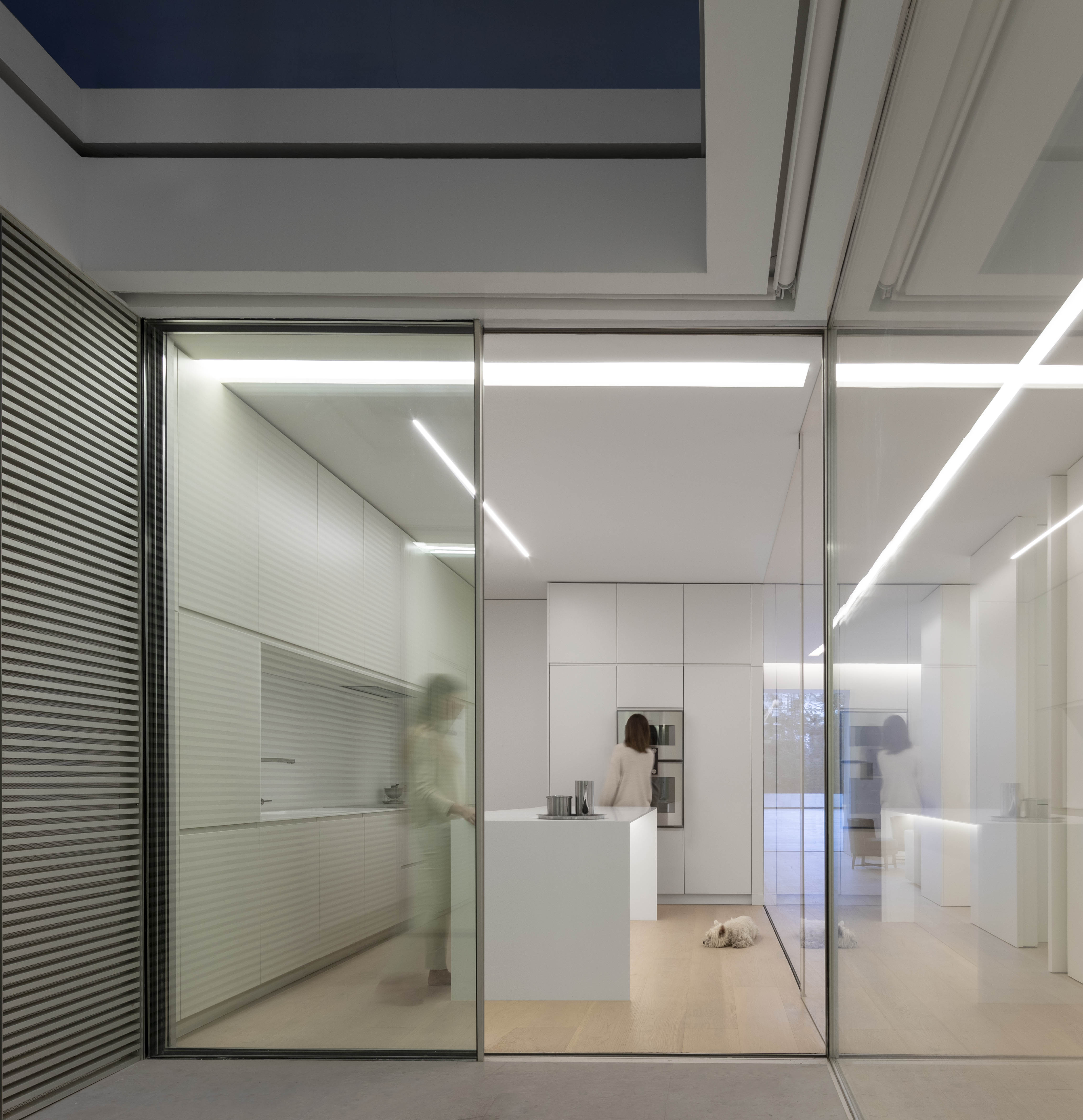 城市中心的蓝色花园别墅设计-27