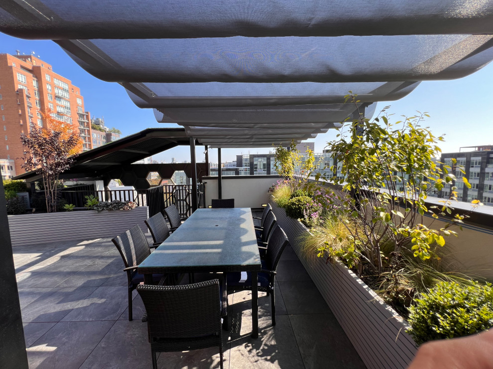 Williamsburg Roof Garden-8