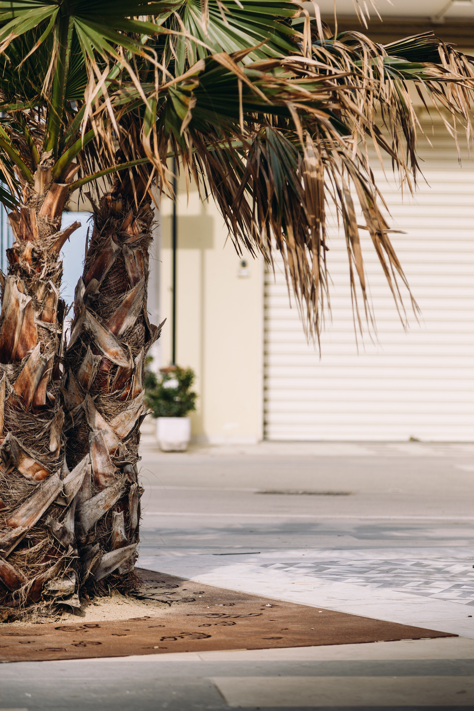 PARCO DEL MARE RIMINI 2022 - LAB23-9