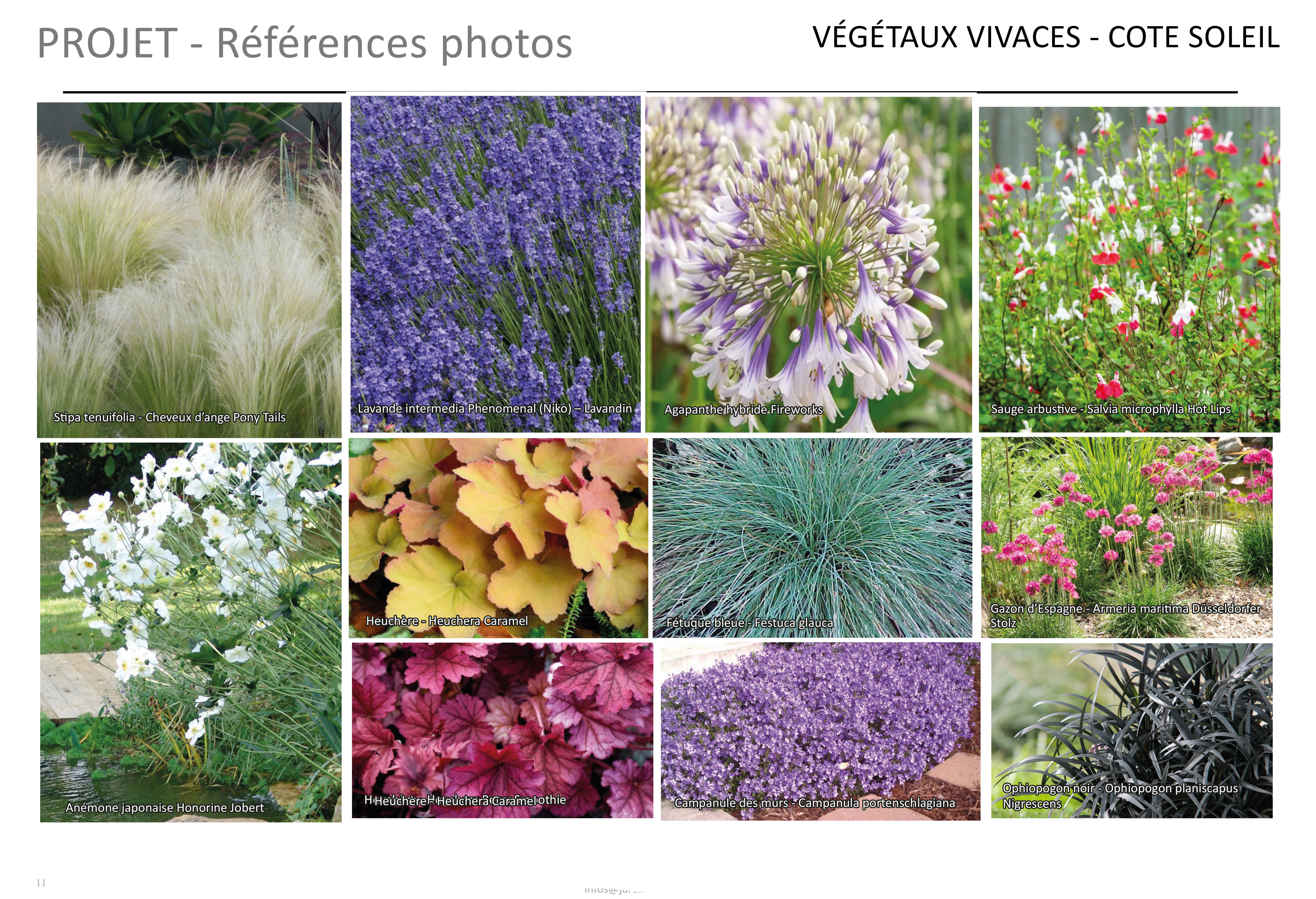 Neuilly Sur Seine某公寓入口景观设计项目-17