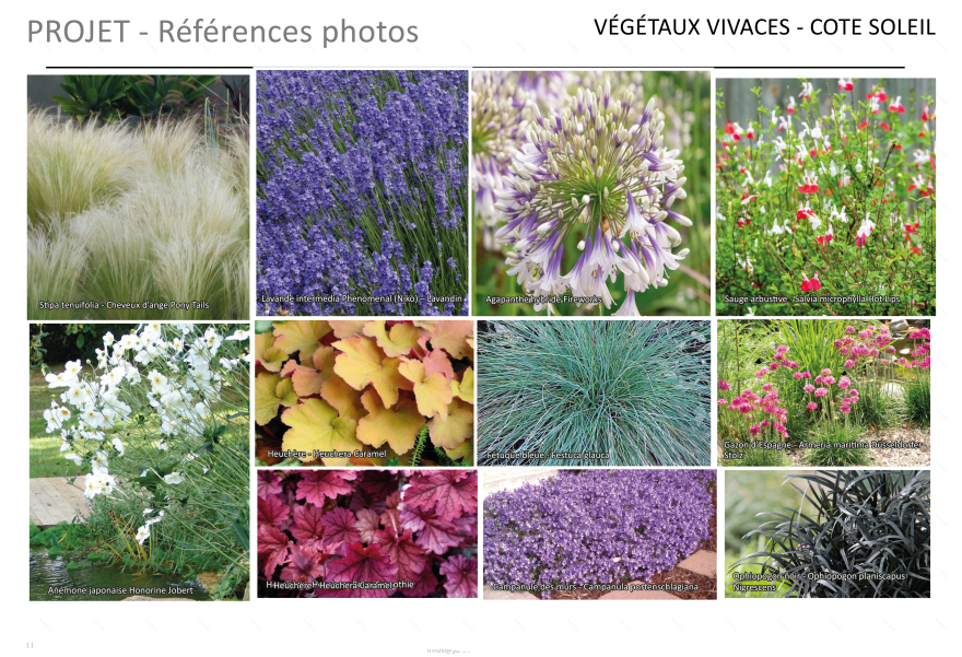 Neuilly Sur Seine某公寓入口景观设计项目-17