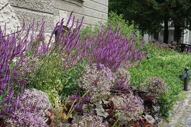 不伦瑞克市立博物馆丨Büro Christian Meyer-1