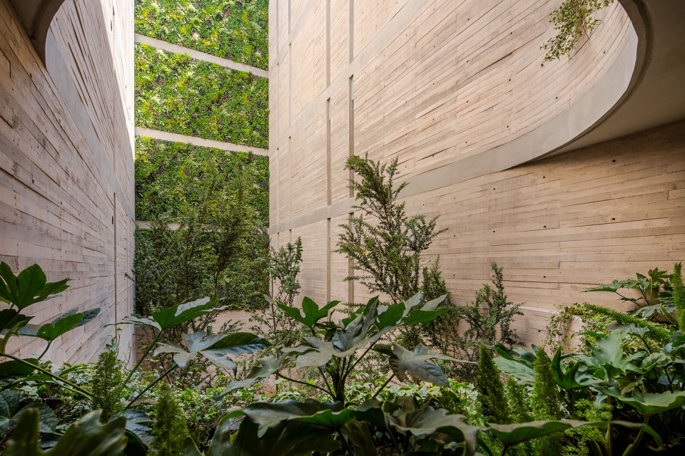 墨西哥六层公寓楼 MO288丨墨西哥墨西哥城丨HGR Arquitectos-25