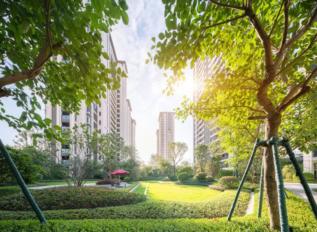 福州国贸·九溪原大区丨中国福州丨棕榈设计集团有限公司-75