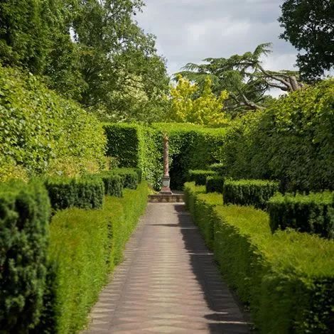 绿篱景观的多功能设计 | 空间、生态与美学的完美结合-28