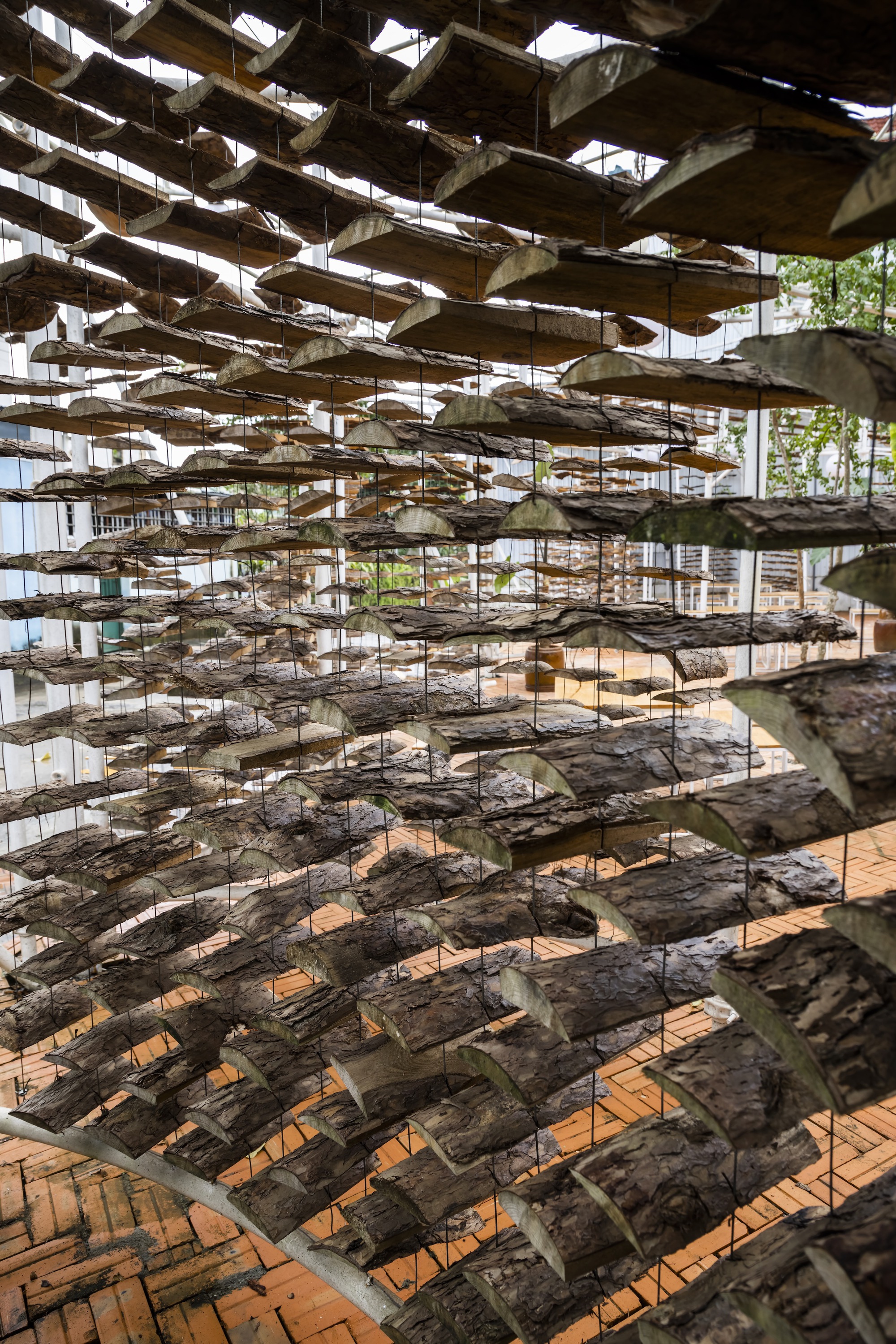 采茶，开花丨越南-50