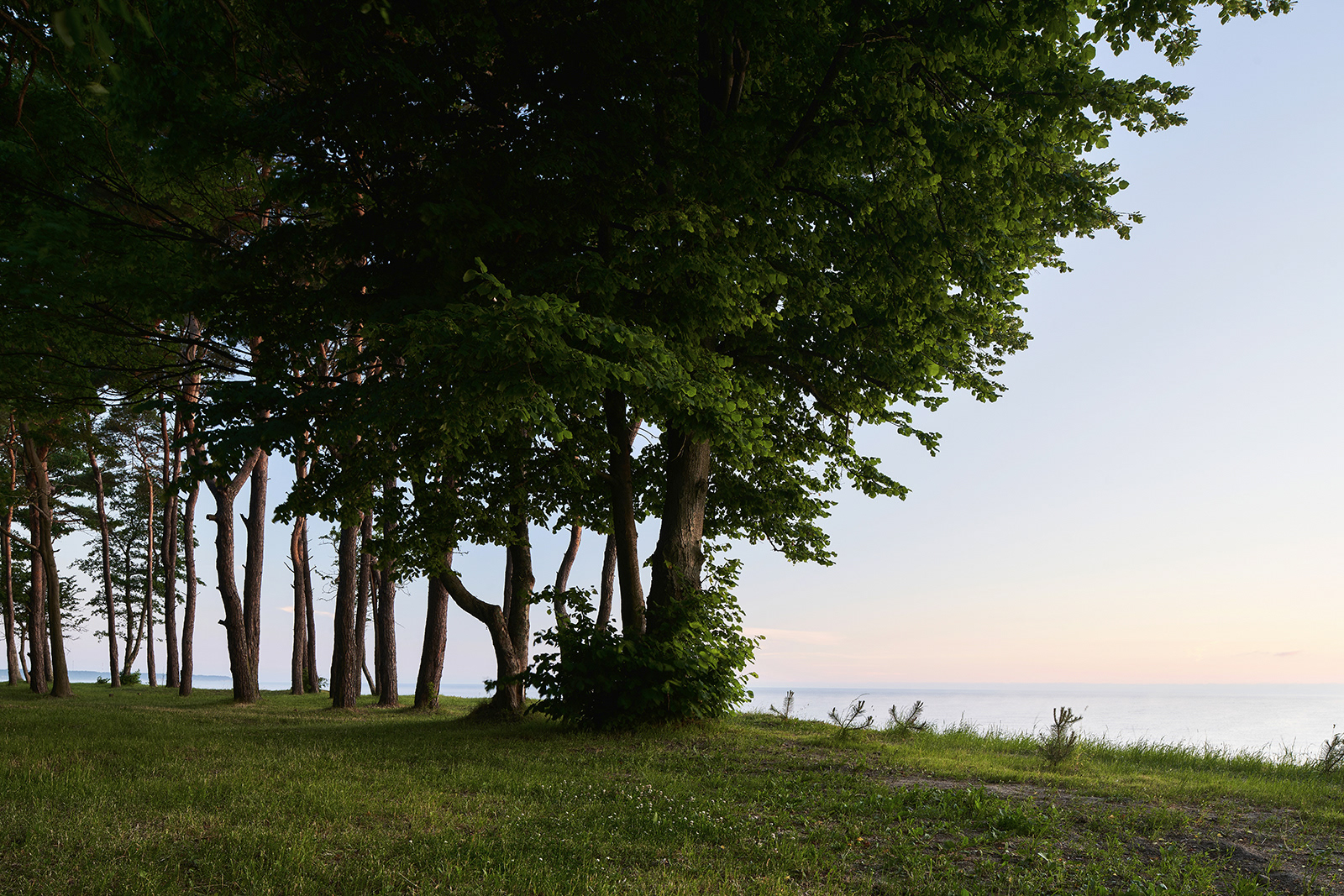 红色房子·斯堪的纳维亚设计丨Norddomos-22